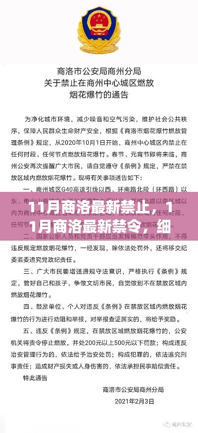 11月商洛最新禁令详解，影响分析与细节解读