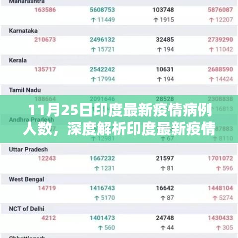 印度最新疫情动态深度解析，11月25日病例人数报告分析