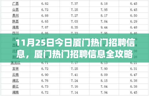 11月25日厦门热门招聘信息全攻略，高效获取心仪职位的秘诀