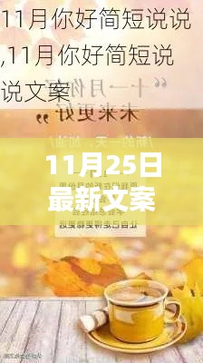 11月25日最新文案图片产品全面评测与介绍，最新时尚潮流一网打尽