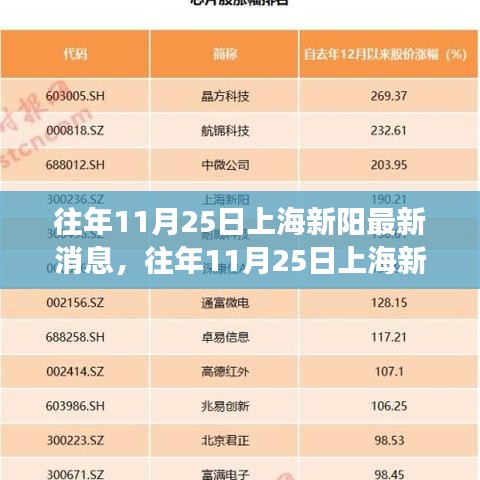 往年11月25日上海新阳最新消息，科技与文化的融合进展