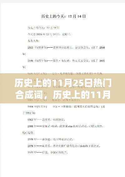 历史上的11月25日合成词深度测评与介绍，热门合成词的演变与影响