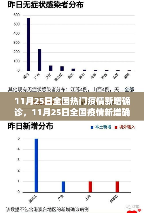 11月25日全国疫情新增确诊深度解析，全国热门疫情最新动态