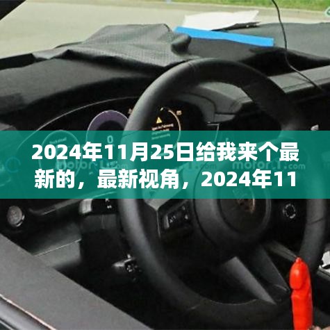 2024年11月25日给我来个最新的，最新视角，2024年11月25日的某某观点深度论述