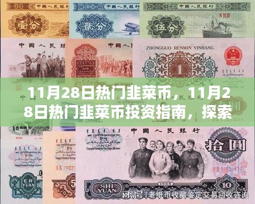 11月28日热门韭菜币投资指南，探索数字货币的机会与挑战