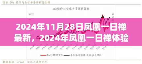 最新凤凰一日禅体验指南，心灵之旅的逐步引导（2024年11月版）