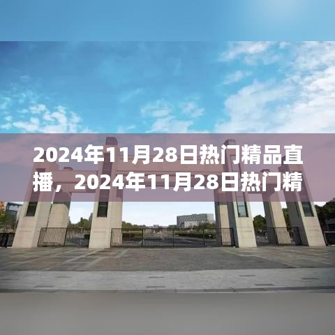 2024年11月28日热门精品直播深度解析，特性、体验、对比及用户需求洞察