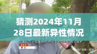 猜测2024年11月28日最新异性情况，揭秘小巷深处的独特小店，一场关于未知异性魅力的探索之旅