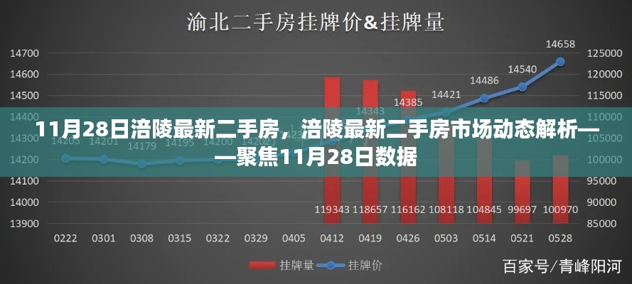 聚焦11月28日数据，涪陵最新二手房市场动态解析与房源信息