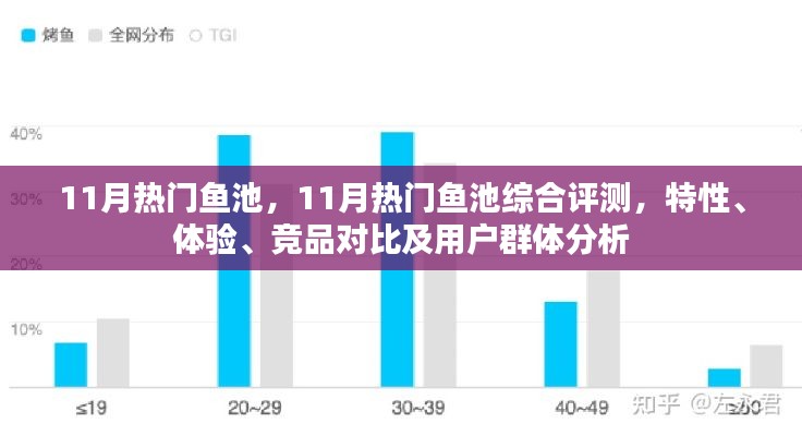 11月热门鱼池全方位评测，特性、体验、竞品对比及用户群体深度分析