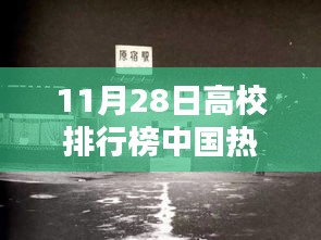 探秘高校周边隐藏瑰宝，中国高校特色小店排行榜揭晓（11月28日）