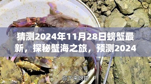 探秘未来蟹海之旅，预测螃蟹新纪元的心灵之旅（2024年最新）