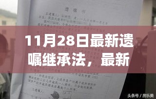 2024年11月 第49页