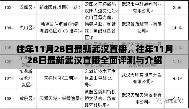 往年11月28日武汉直播全景回顾与深度评测介绍