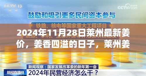 莱州姜价背后的故事，姜香四溢的日子与温情2024年11月28日莱州最新姜价揭秘