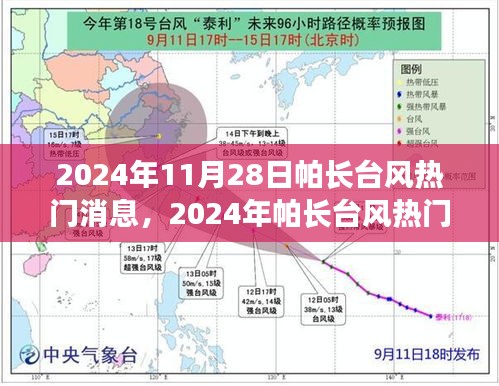 2024年帕长台风热门消息解析指南，从初学者到进阶用户的全面指南