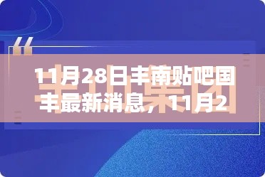 11月28日丰南贴吧国丰最新消息，11月28日丰南贴吧国丰最新消息全面评测与介绍