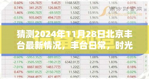 时光轻抚温情满溢，丰台日常，北京丰台最新情况预测（2024年11月28日）