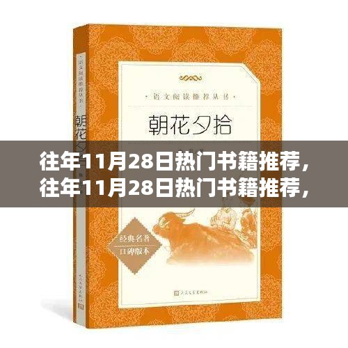 往年11月28日热门书籍深度探讨与推荐观点阐述