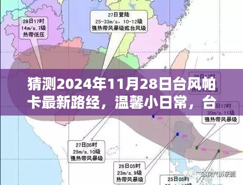 2024年11月 第38页