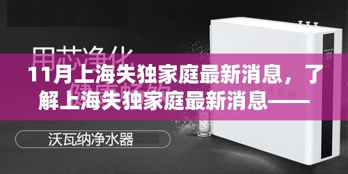 上海失独家庭最新消息全面指南，为初学者与进阶用户解读最新动态