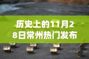 历史上的重要时刻与自然的宁静之旅，常州秘境探秘之11月28日常州热门发布回顾