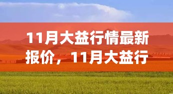 11月大益行情最新报价，自然美景之旅，探寻内心宁静与平和的旅程