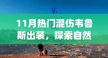 探索自然美景与混伤韦鲁斯出装指南，十一月专属出装，寻找内心宁静与力量