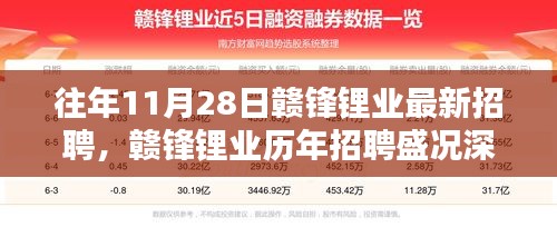 赣锋锂业历年招聘盛况深度解析，聚焦十一月二十八日的人才招募盛宴