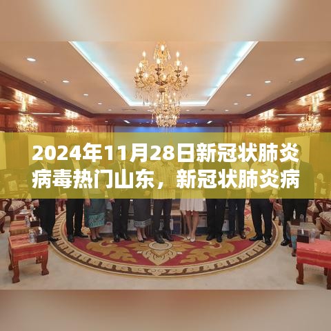 山东地区应对新冠状肺炎病毒，防控指南与应对策略（2024年11月28日）