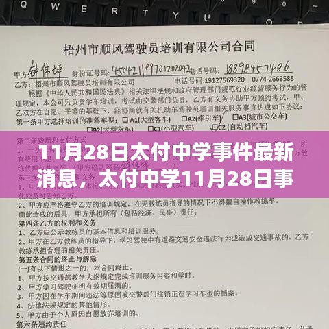 太付中学11月28日事件最新进展及校方回应深度解析