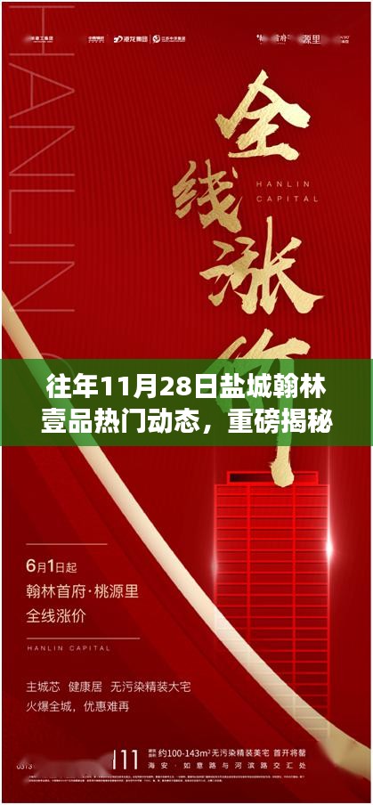 盐城翰林壹品热议瞬间回顾，揭秘往年11月28日的热门动态与热议瞬间✨