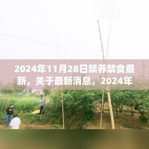 2024年11月28日全面禁养禁食野生动物最新消息解读与探讨