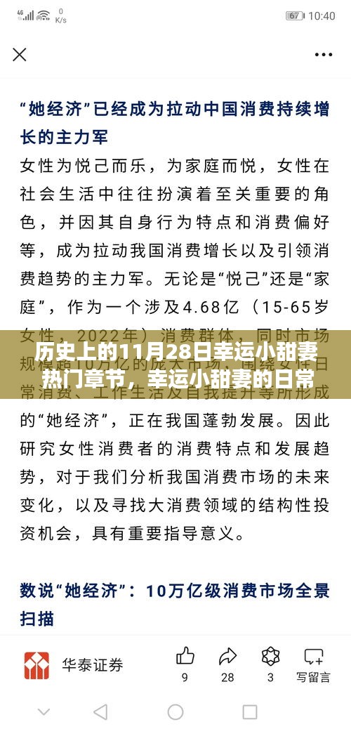 温馨秋日故事，幸运小甜妻的日常趣事与暖心友情——历史上的11月28日回顾