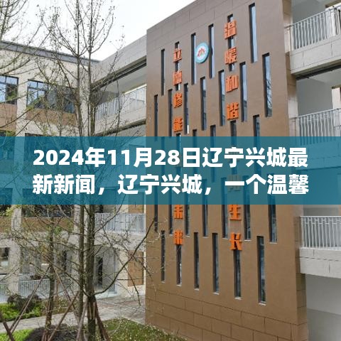 辽宁兴城温馨日常与奇妙时光，最新新闻报道 2024年11月28日