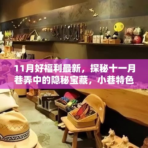 探秘十一月巷弄隐秘宝藏，小巷特色小店新鲜好福利揭秘