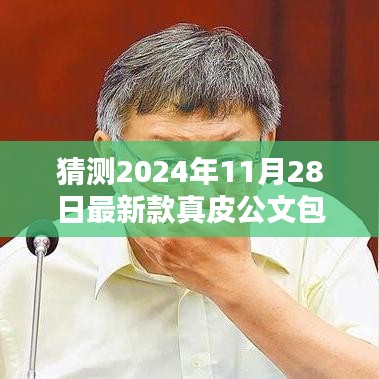 科技与时尚融合，揭秘2024新款智能真皮公文包风潮图片猜想