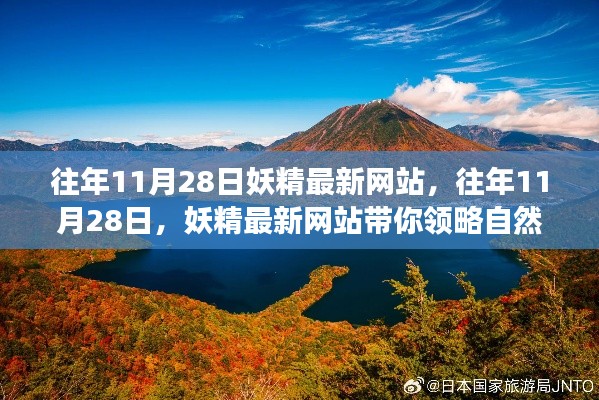 往年11月28日妖精最新网站，自然美景之旅，寻找内心平静之旅