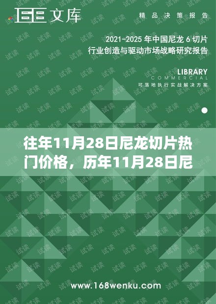 历年11月28日尼龙切片市场动态解析与热门价格深度探讨