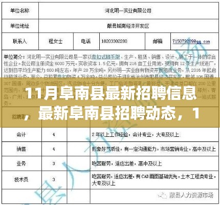 阜南县11月最新招聘信息及招聘动态总览