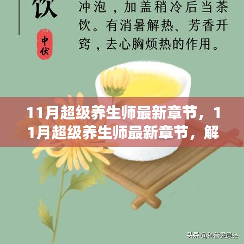 解锁健康密码，开启养生之旅，11月超级养生师最新章节