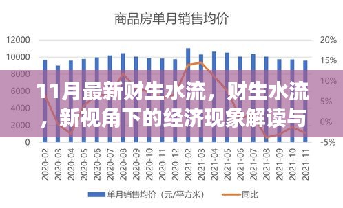 11月最新财生水流，新视角下的经济现象解读与观点碰撞