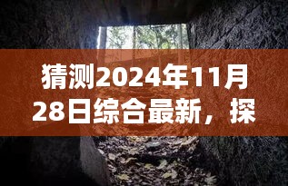 2024年12月1日 第28页