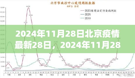 2024年11月28日北京疫情最新动态及防控进展详解与案例分析