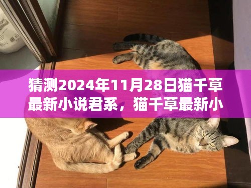 2024年12月1日 第25页