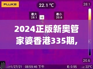 2024正版新奥管家婆香港335期,高效性设计规划_WIH70.532智能版