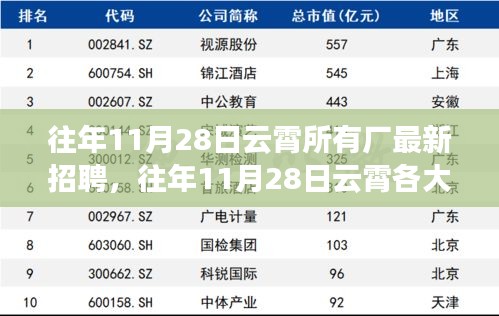 往年11月28日云霄所有厂最新招聘，往年11月28日云霄各大厂区最新招聘动态解析