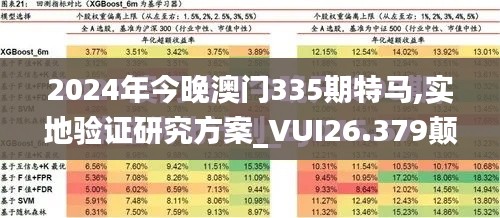 2024年今晚澳门335期特马,实地验证研究方案_VUI26.379颠覆版