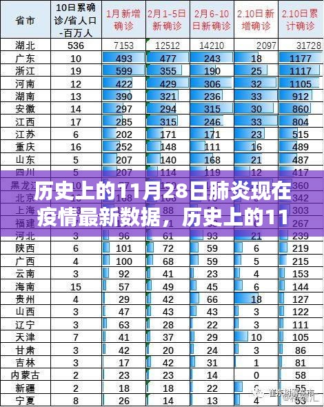 历史上的11月28日肺炎疫情回顾与最新数据报告