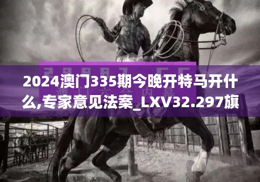 2024澳门335期今晚开特马开什么,专家意见法案_LXV32.297旗舰设备版